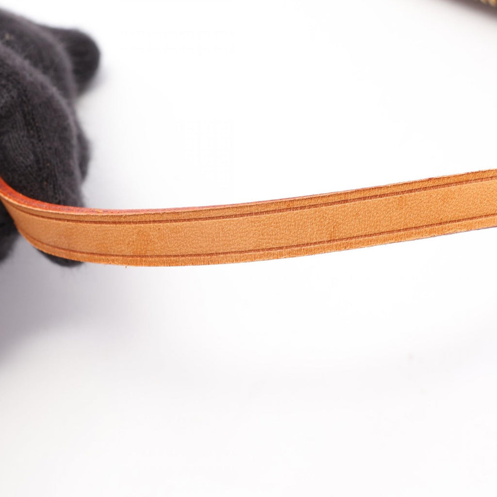 Louis Vuitton Pochette Accessoires · Monogram