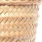 Loewe Basket Small · Leather & Raffia