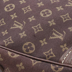 Louis Vuitton Pochette Danube · Monogram