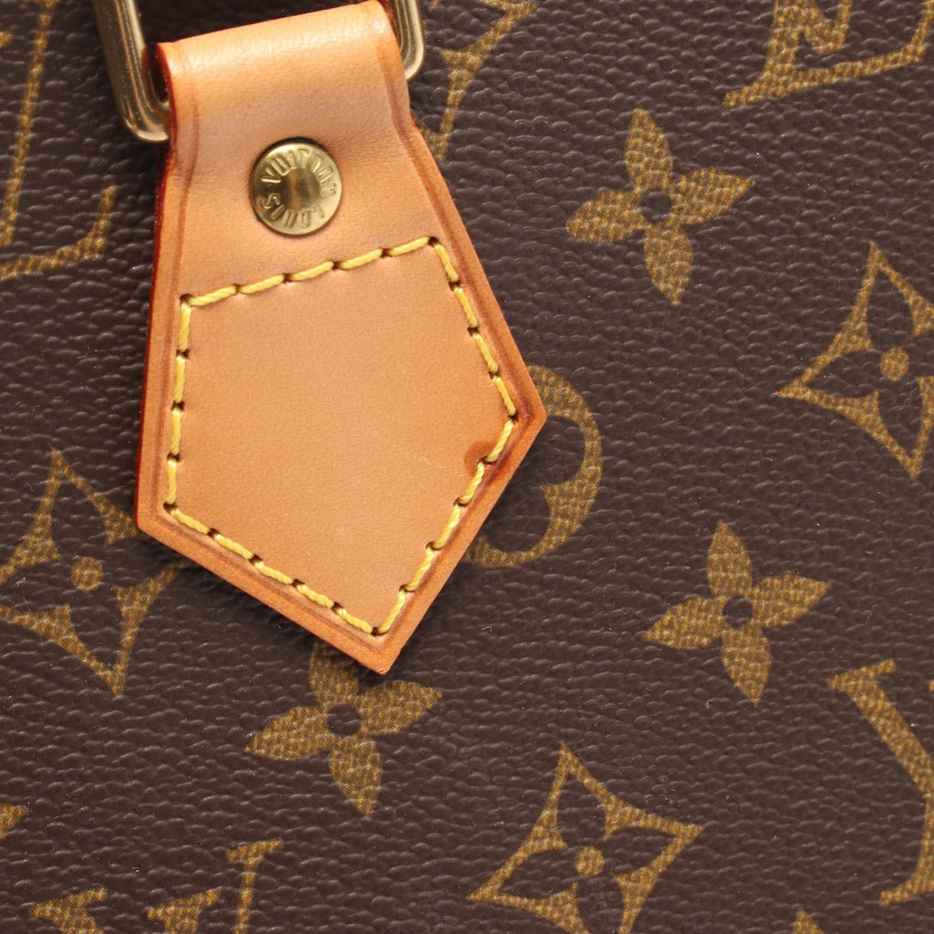 Louis Vuitton Alma PM · Monogram
