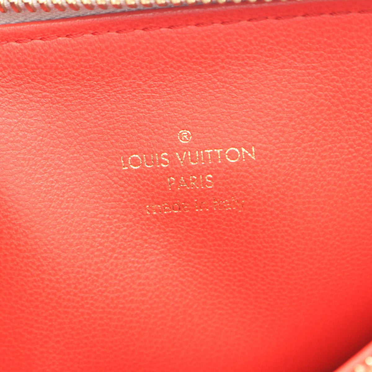Louis Vuitton Coussin PM · Monogram Leather