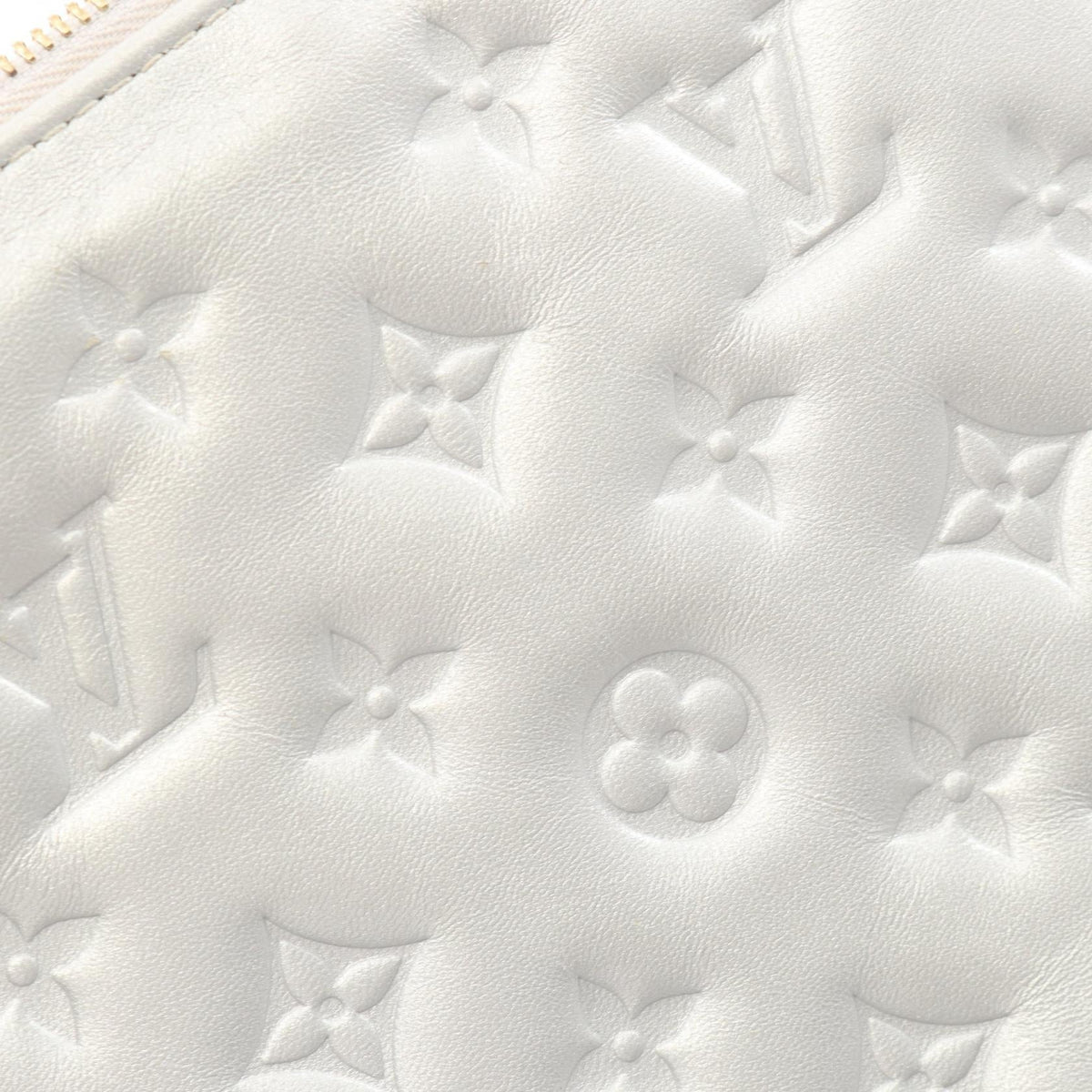 Louis Vuitton Coussin PM · Monogram Leather