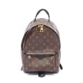 Louis Vuitton Palm Springs PM · Monogram