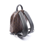 Louis Vuitton Palm Springs PM · Monogram
