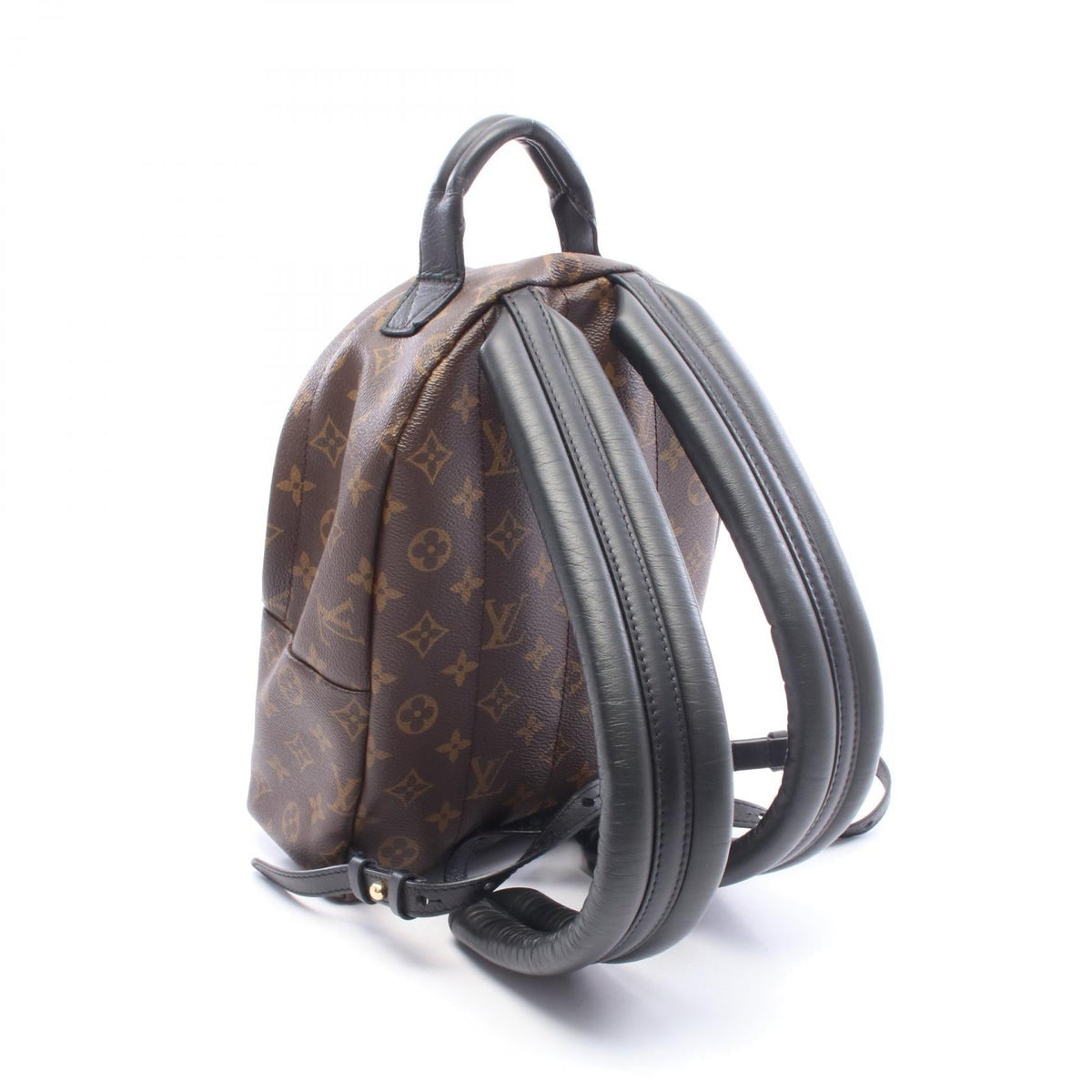 Louis Vuitton Palm Springs PM · Monogram