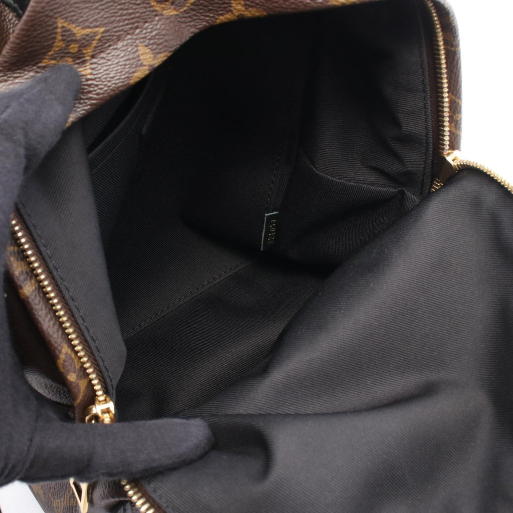 Louis Vuitton Palm Springs PM · Monogram