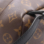 Louis Vuitton Palm Springs PM · Monogram