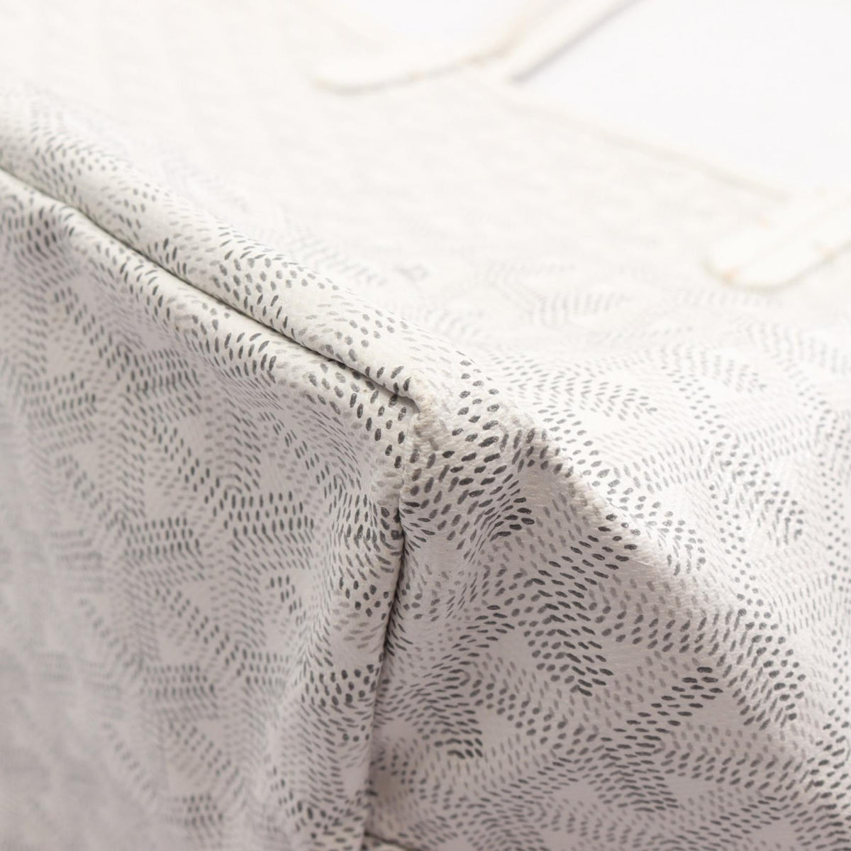 Goyard Saint Louis PM · Canvas Tote
