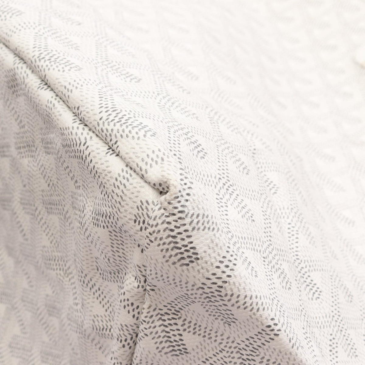Goyard Saint Louis PM · Canvas Tote