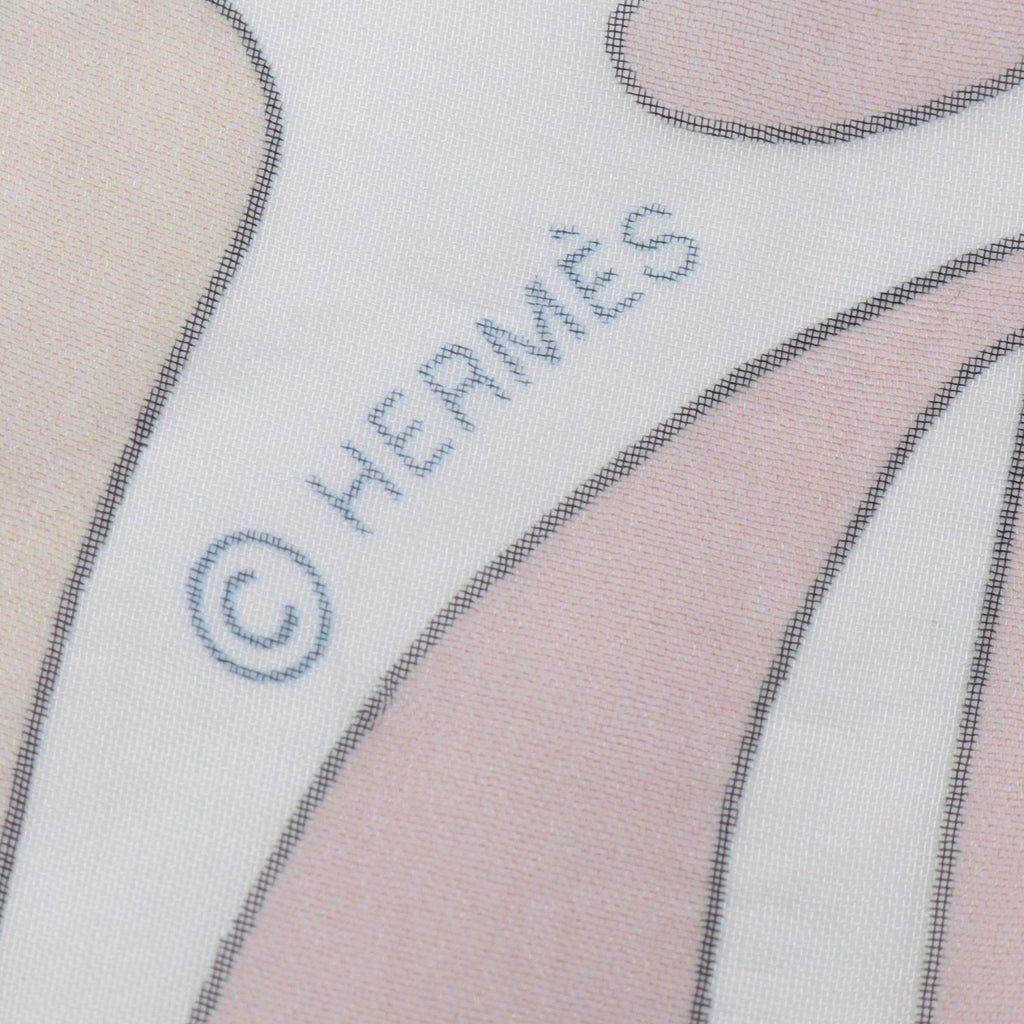Hermès Millefleurs du Mexique · Silk Chiffon