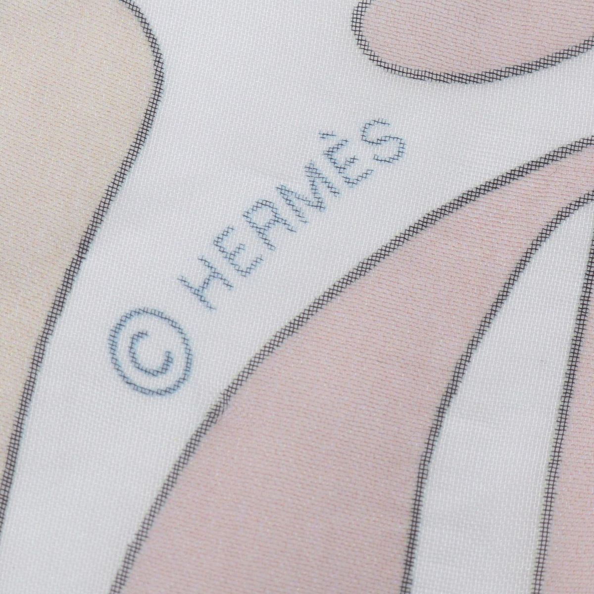 Hermès Millefleurs du Mexique · Silk Chiffon