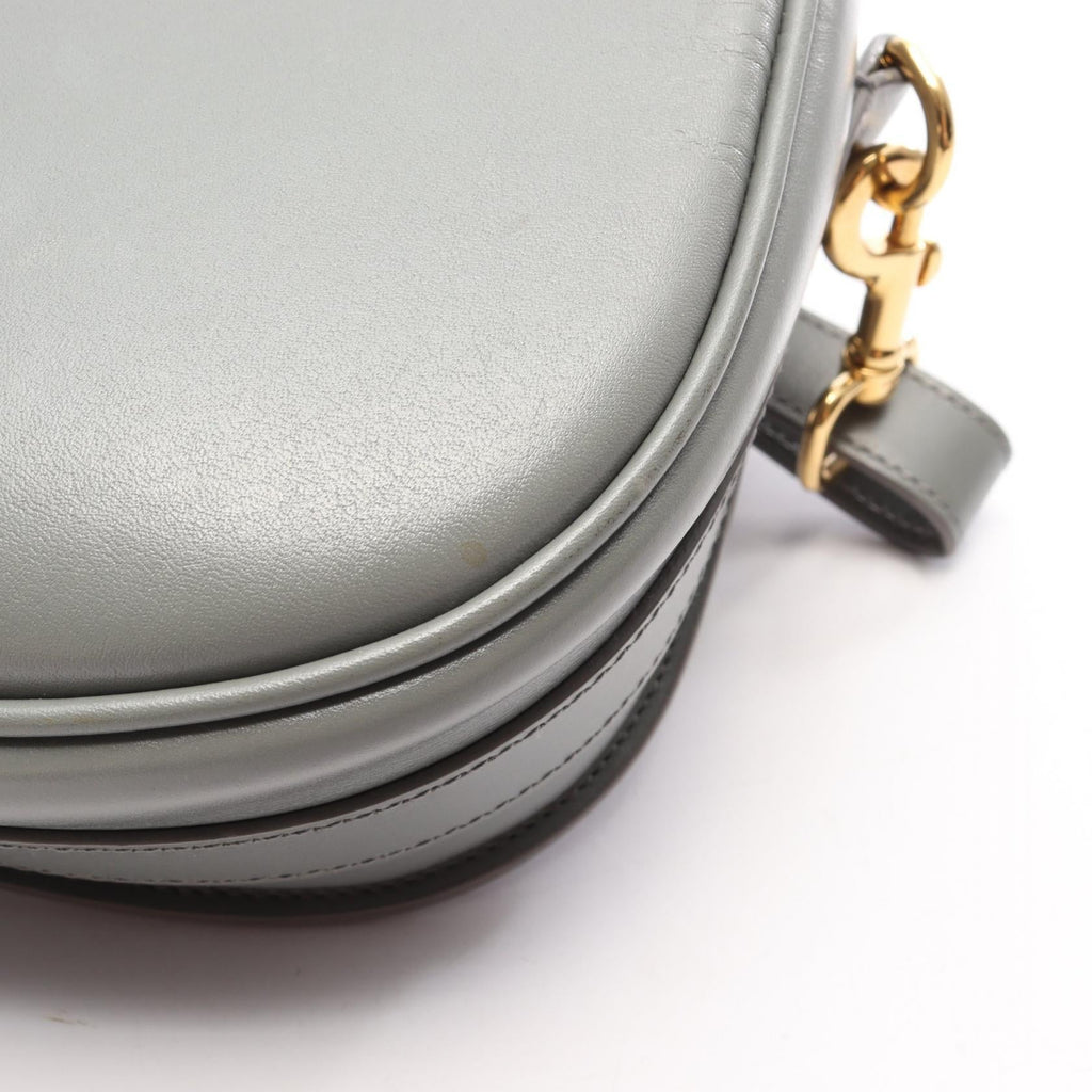 Dior Bobby Medium · Leather Crossbody