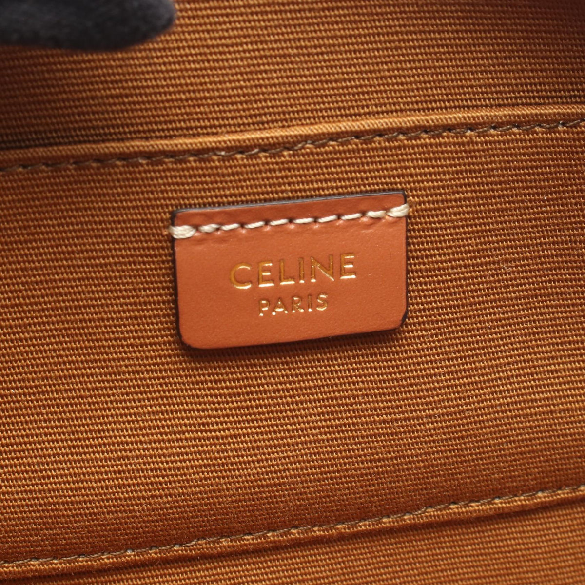 Celine Triomphe Mini Camera · Canvas