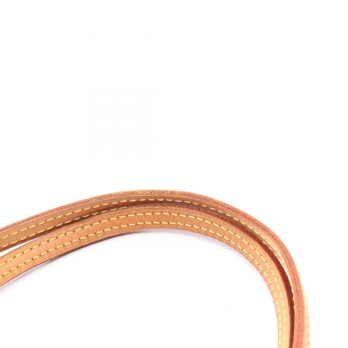 Louis Vuitton Neverfull PM · Monogram