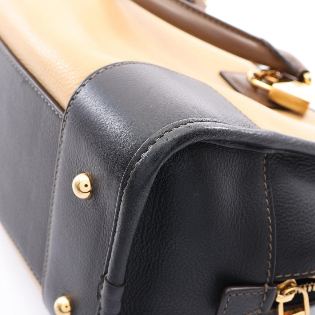 Loewe Amazona 28 · Leather