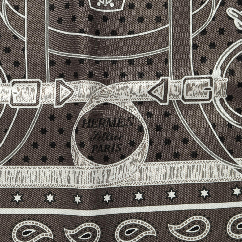 Hermès Eperon d'Or · Silk Carré 70