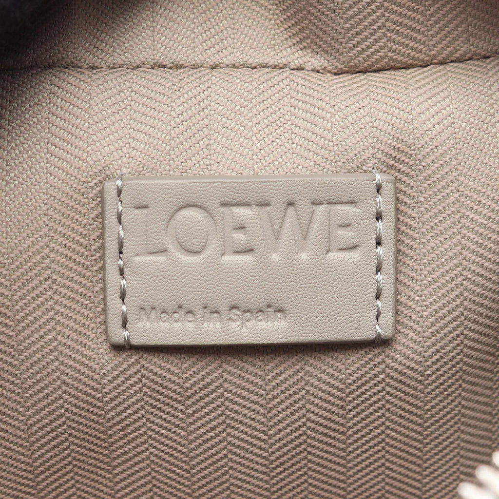 LOEWE Camera Mini · Leather Crossbody