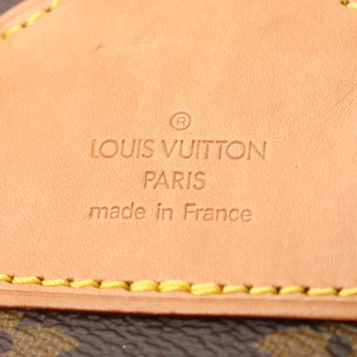 Louis Vuitton Montsouris MM · Monogram