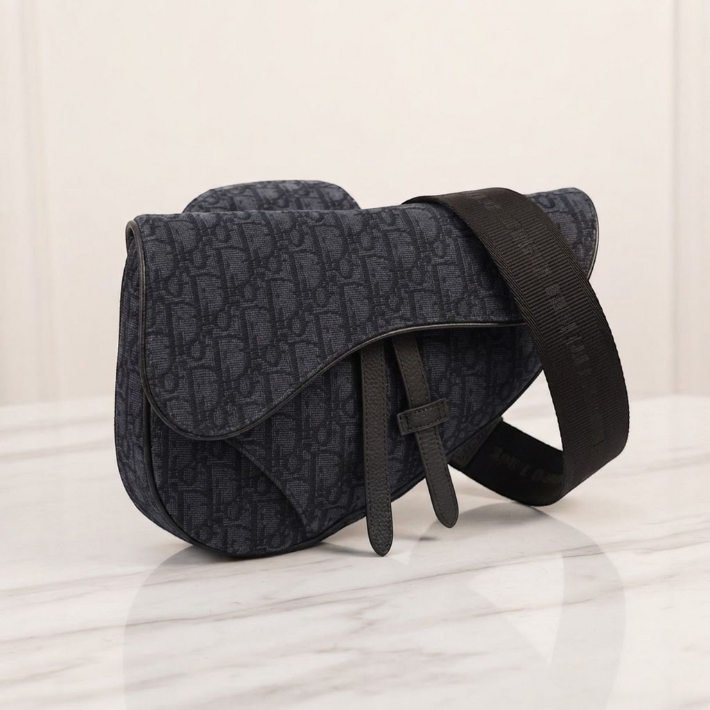 Dior Saddle Bag · Canvas