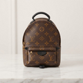 Louis Vuitton Palm Springs Mini · Monogram