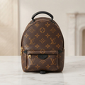 Louis Vuitton Palm Springs Mini · Monogram