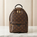 Louis Vuitton Palm Springs · Monogram · PM