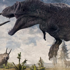 Tyrannosaurus Rex Bone