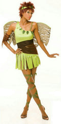 Wicked Tink Tinkerbell Womens Adult Costume Size Large 12-14