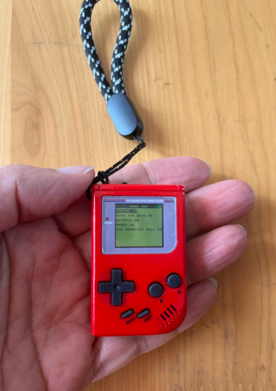 MICRO BOY™