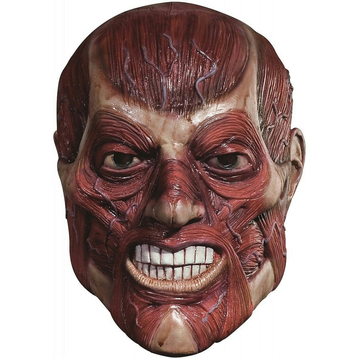 Skinner Anatomical Adult Mask Exposed Muscle and Veins