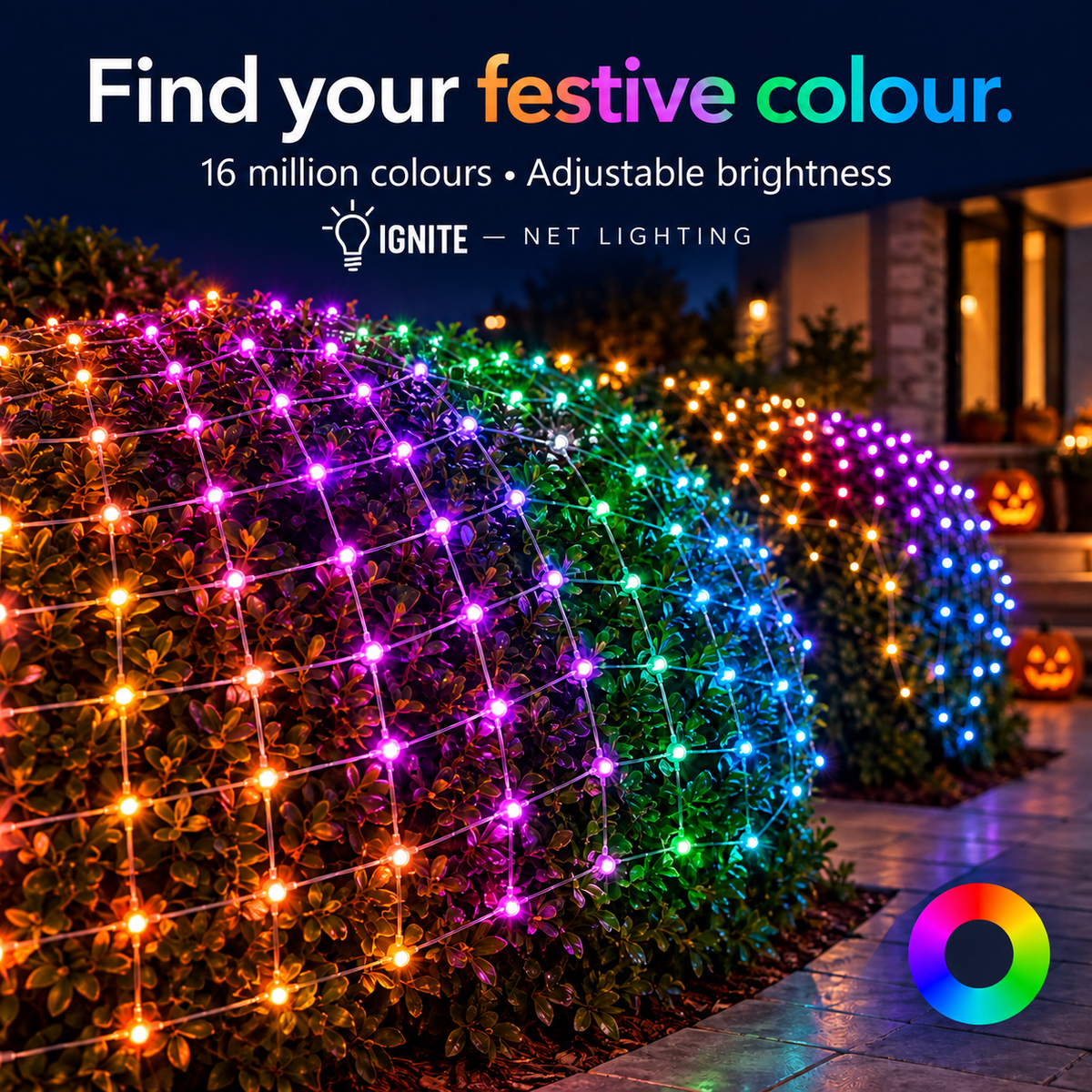 Ignite™ Net Lighting