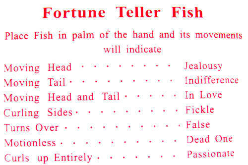 🔮 Fortune Teller Fish – Bulk Set of 144 Classic Mood-Reading Novelties