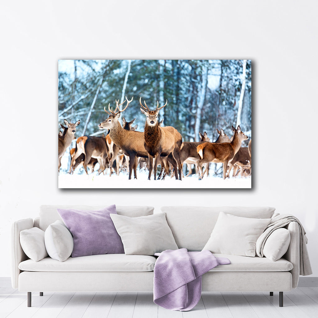 Mesmerized Deers