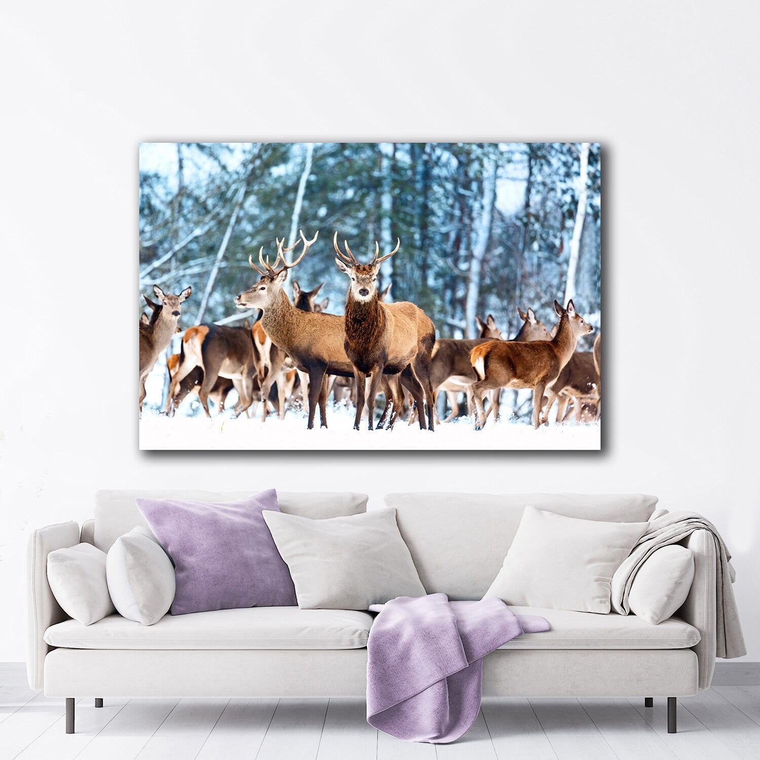 Mesmerized Deers