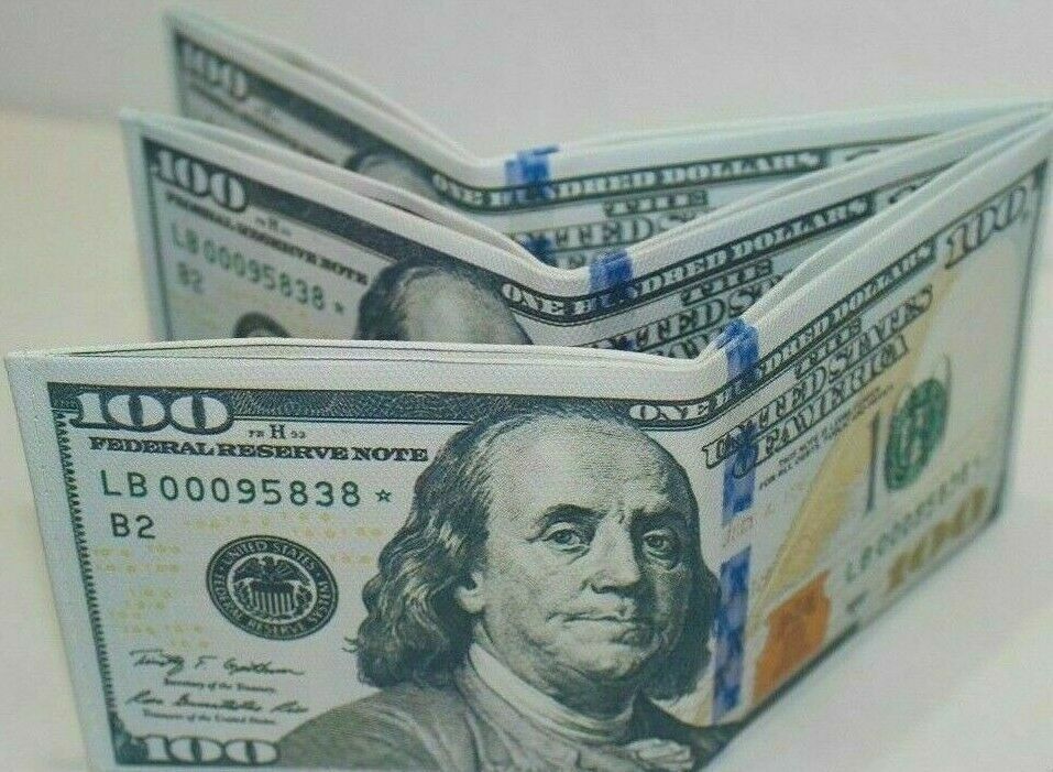 💵 $100 Bill Wallet – Realistic Print Canvas Gag Gift