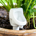 The Bathroom Urinal Plant Watering Stake – Hilarious Garden Plant Gag Joke Gift
