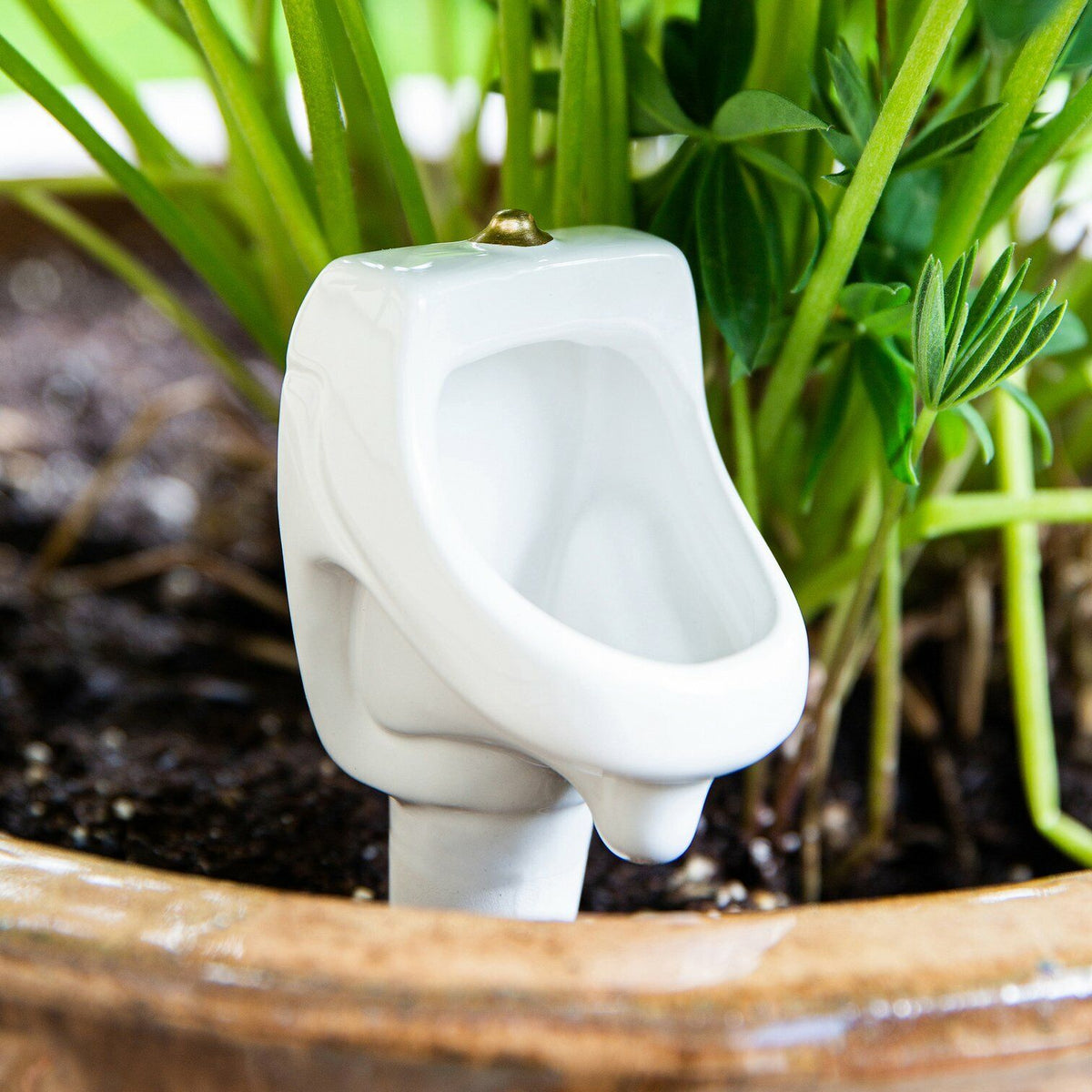 The Bathroom Urinal Plant Watering Stake – Hilarious Garden Plant Gag Joke Gift