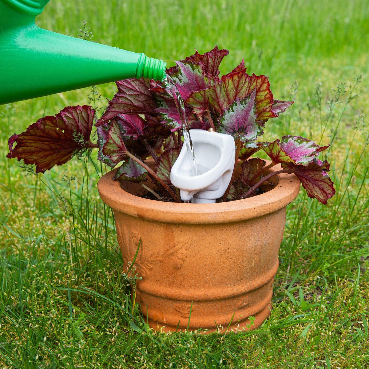 The Bathroom Urinal Plant Watering Stake – Hilarious Garden Plant Gag Joke Gift
