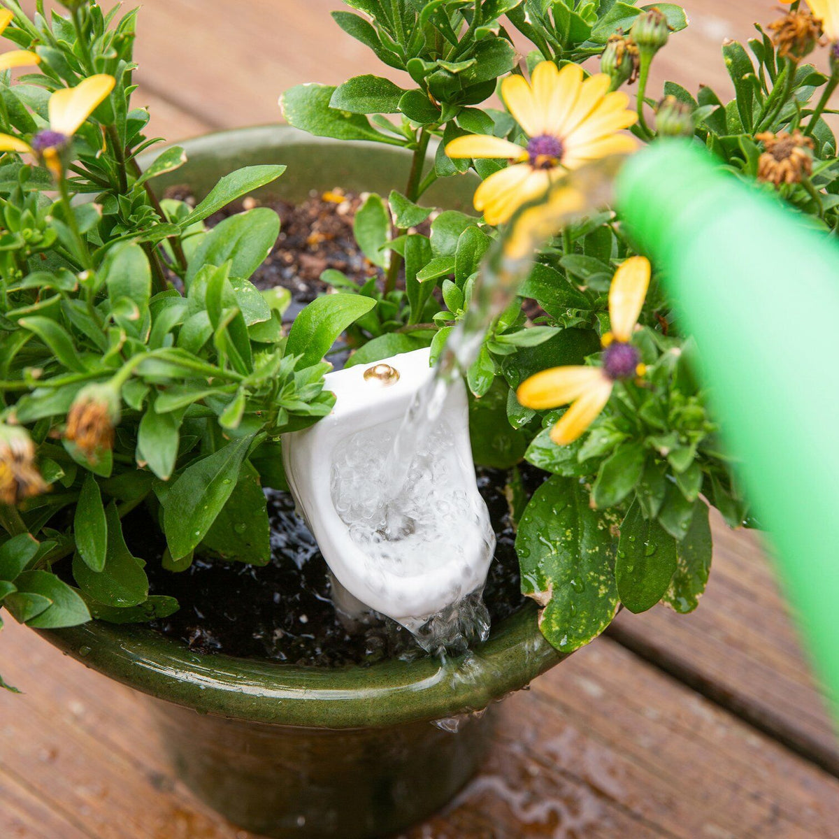 The Bathroom Urinal Plant Watering Stake – Hilarious Garden Plant Gag Joke Gift