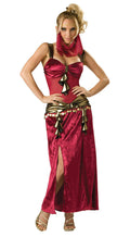 Incharacter Women's Deluxe Desert Harem Belly Dancer Adult Costume Small