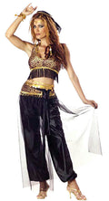 California Costumes Women's Egyptian Belly Dancer Adult Costume Medium 8-10