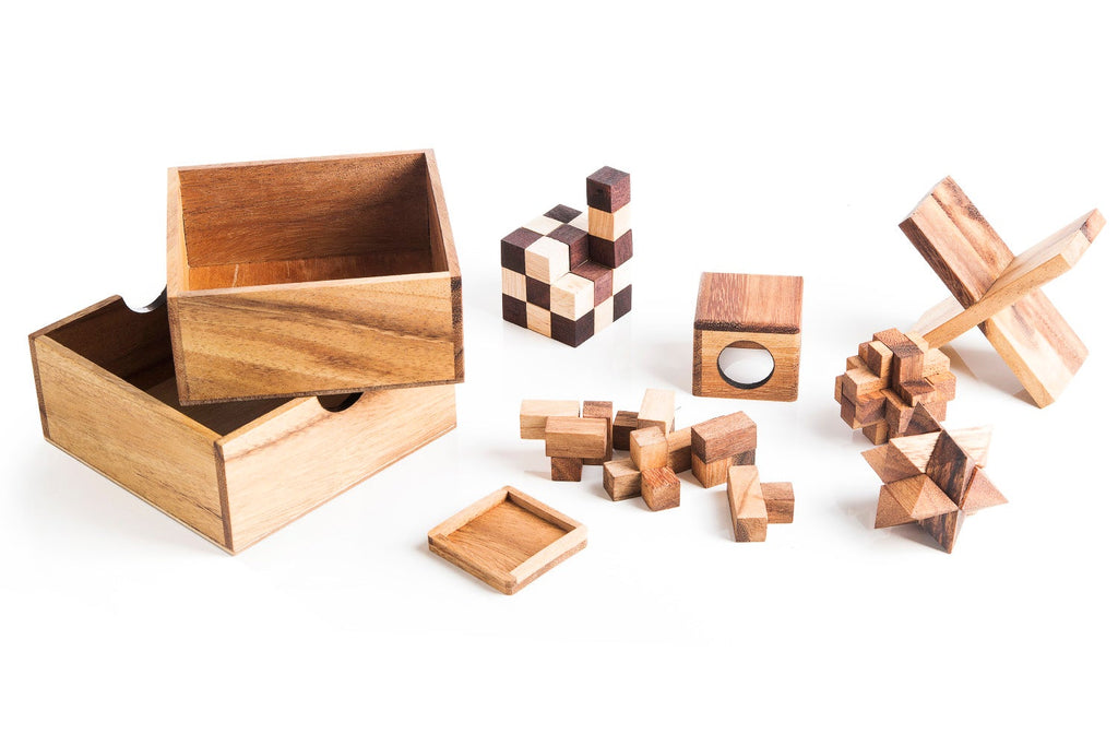 5 Wooden Mechanical Puzzle Set - Brain Teaser Gift Box for Adults