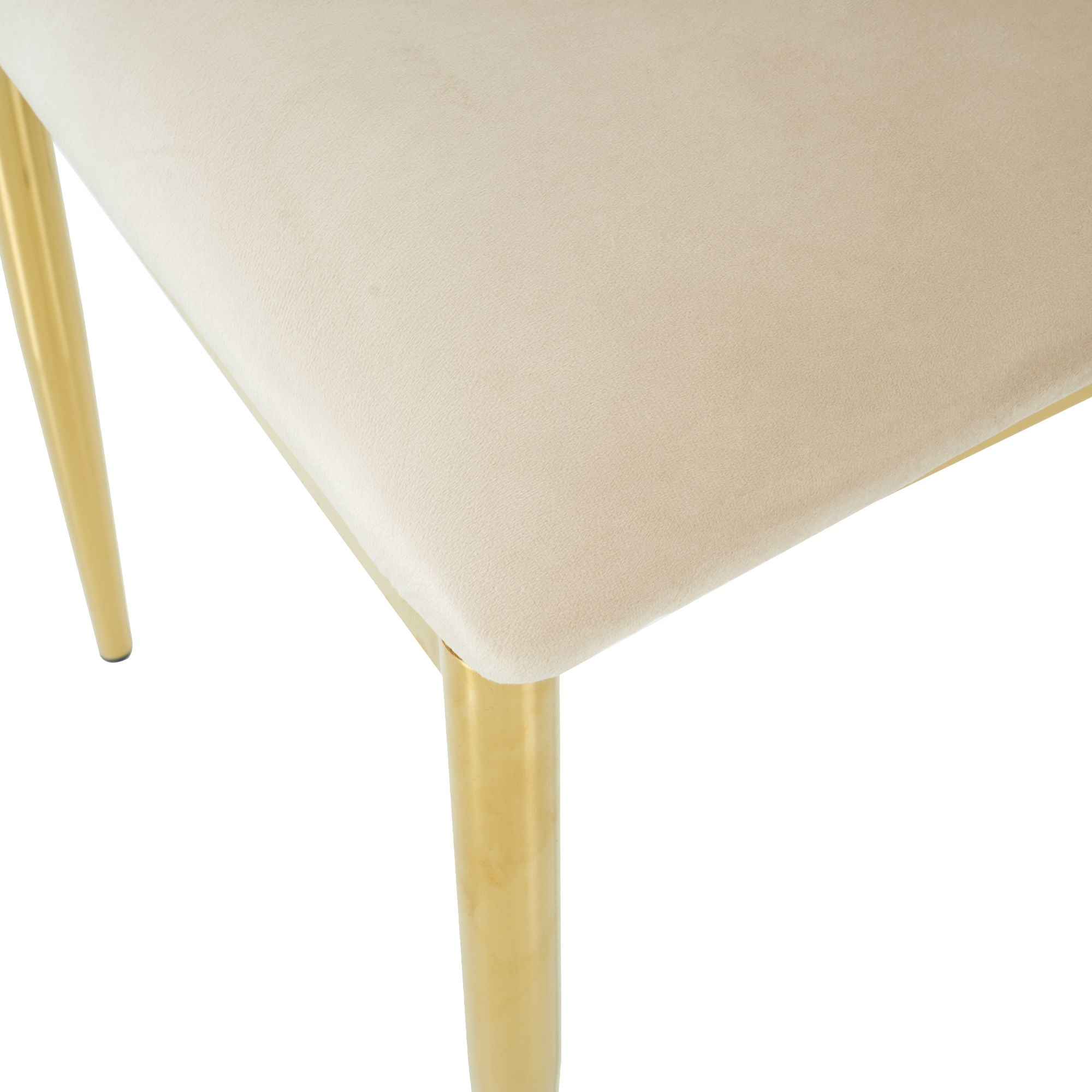Modern Dining Chair