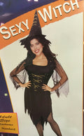Rubie's Costume Co Women's Witch Adult Costume Standard Size 15094