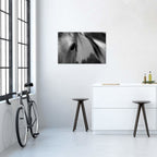 One Eye // Lu Anne Tyrrell
