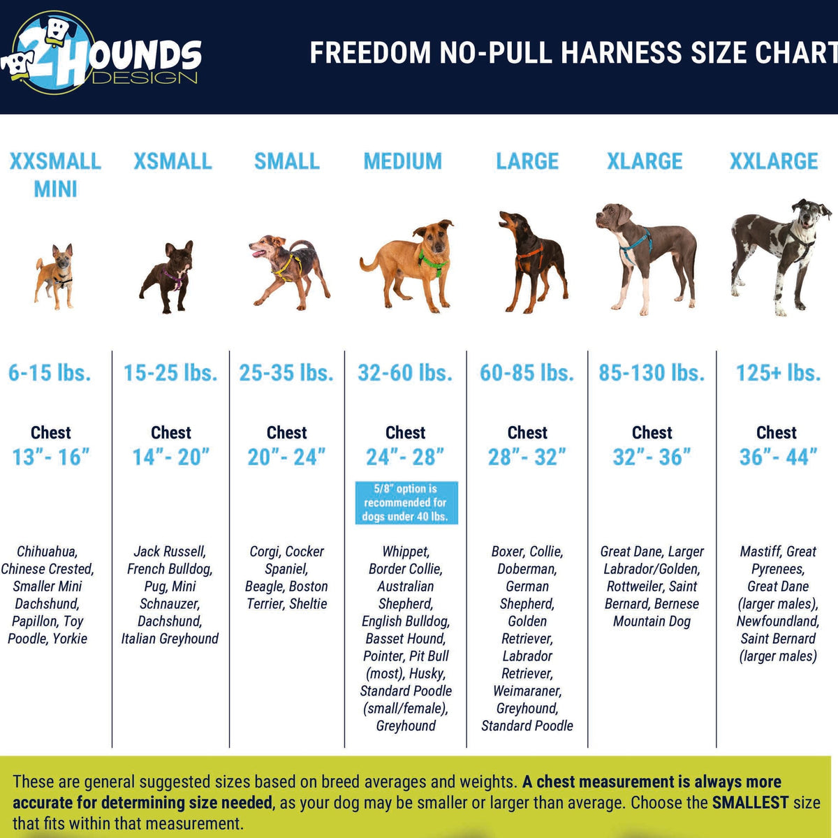 Purple Freedom No-Pull Dog Harness