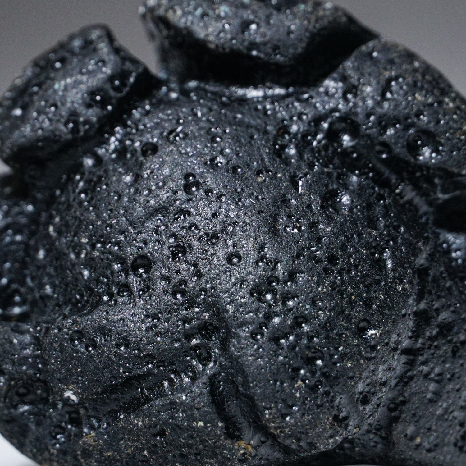 Genuine Indochinite Tektite in Display Case (38 grams)