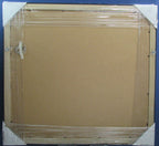 Phillies Horizontal 16"x20" Photo DIY NEW Frame Kit  w/ Red/White Border 188686