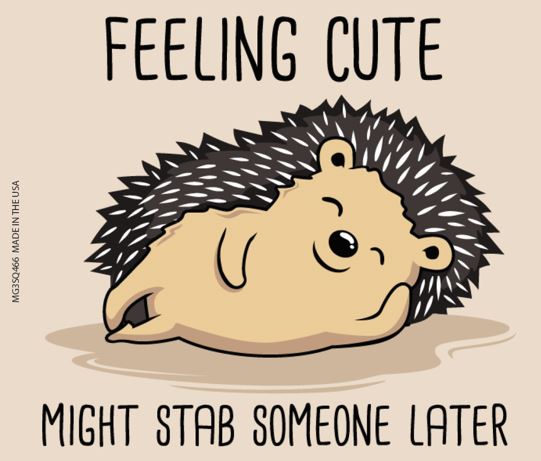 "Feeling Cute - I May Stab Ya" Kitchen Fridge Magnet - 3.5" x 2.5" Made in USA