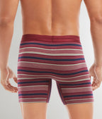 2(X)ist Dream Boxer Brief
